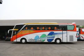Fleet Bus 1 1 1dx_1174